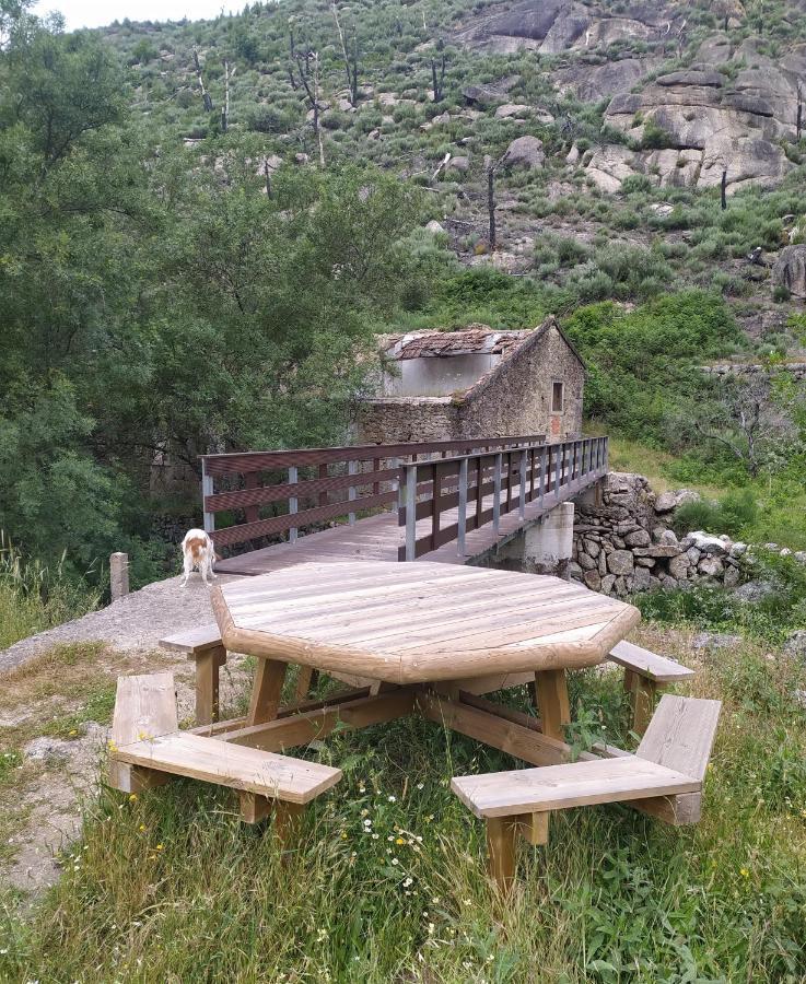 Abrigo Do Cabecinho - Serra Da Estrela Cortes do Meio エクステリア 写真